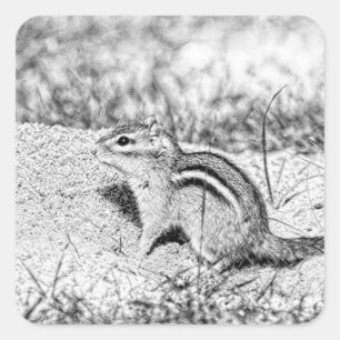 Chipmunk Sketch Square Sticker
