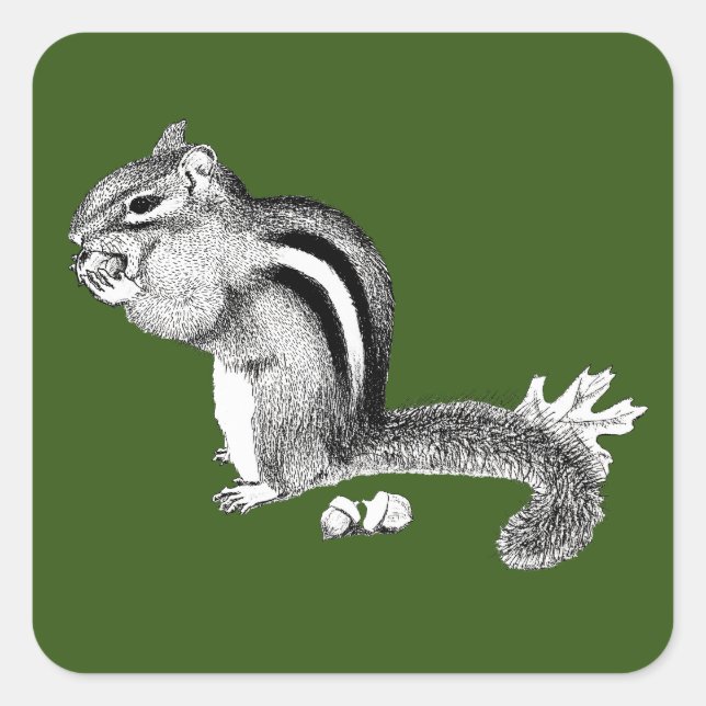 Chipmunk Square Sticker (Front)
