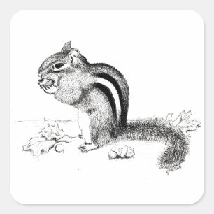 Chipmunk Square Sticker