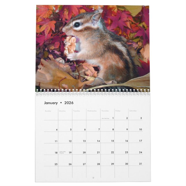 chipmunk,Squirrel,photo,calendar Calendar (Jan 2026)