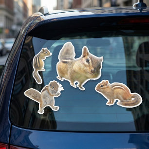 Chipmunk Sticker Collection