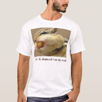 Chipmunk
