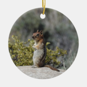 Chipmunk, wildlife, ceramic ornament