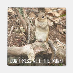 chipmunk with attitude magnet