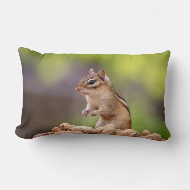 Chipmunk with peanuts lumbar cushion (Front)