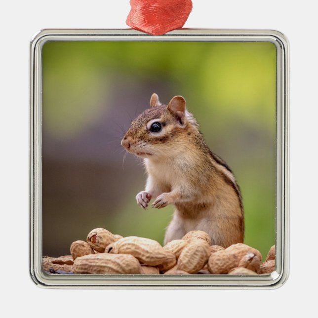 Chipmunk with peanuts metal tree decoration (Front)