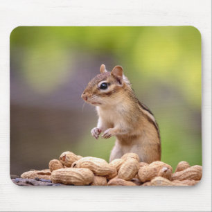 Chipmunk with peanuts mouse pad