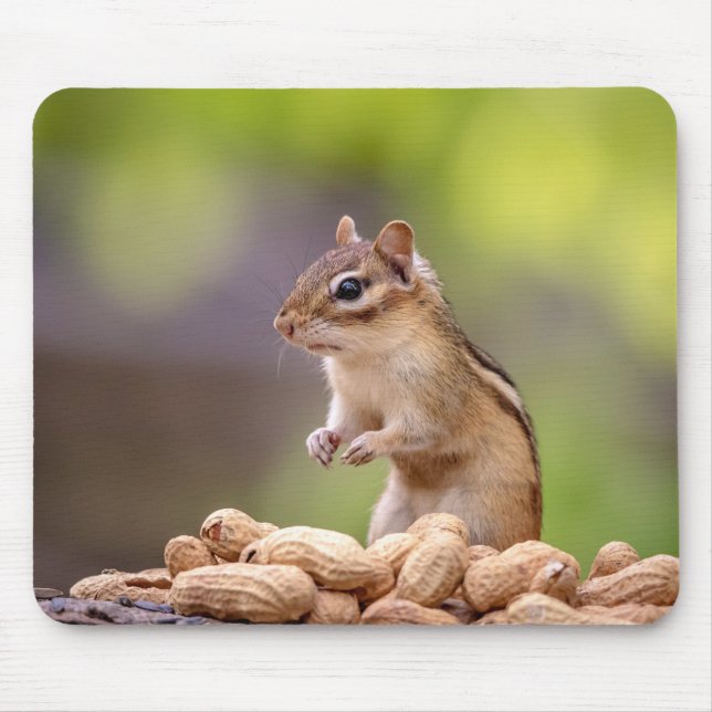 Chipmunk with peanuts mouse pad (Front)
