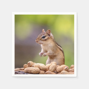 Chipmunk with peanuts napkin