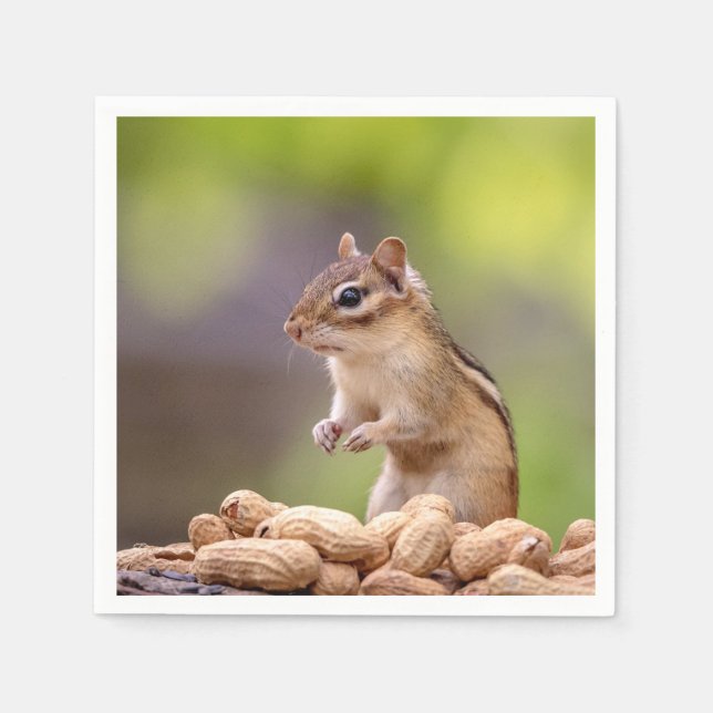 Chipmunk with peanuts napkin (Front)