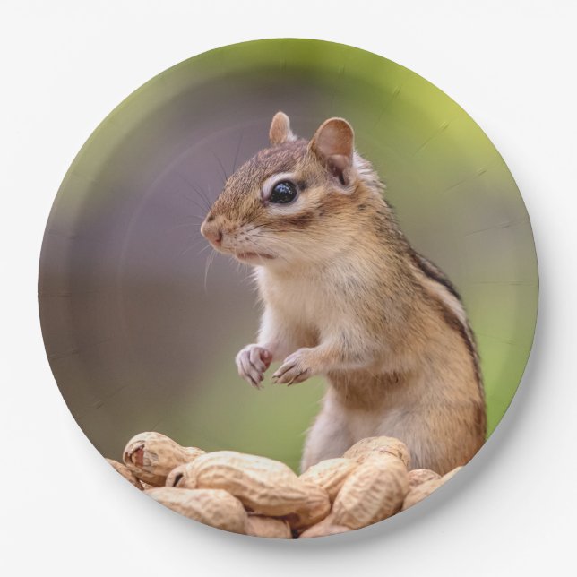 Chipmunk with peanuts paper plate (Front)
