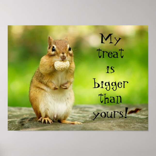 Chipmunk with Treat Poster (Front)