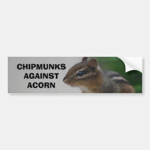 Chipmunks Against Acorn Bumper Sticker