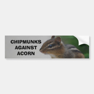Chipmunks Against Acorn Bumper Sticker