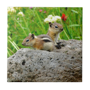 Chipmunks and wildflowers ceramic tile