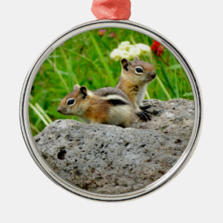 Chipmunks and wildflowers metal ornament