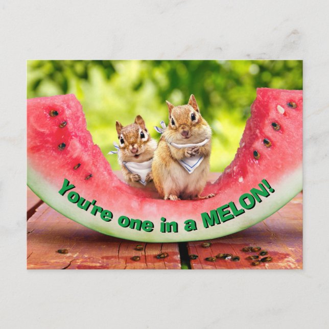 Chipmunks Eating Watermelon Invitation Postcard (Front)