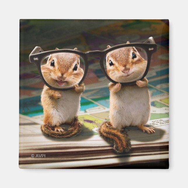 Chipmunks in Reading Glasses Magnet (Front)