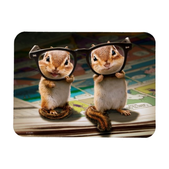 Chipmunks in Reading Glasses Magnet (Horizontal)