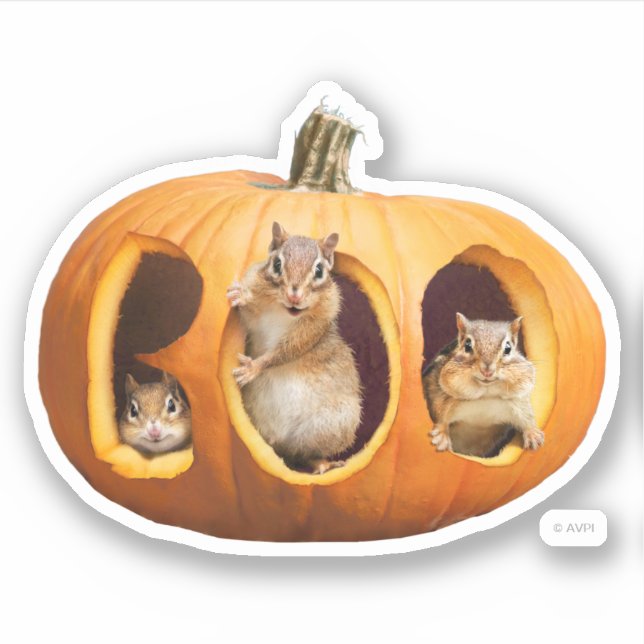 Chipmunks Inside Boo Jack-o-Lantern (Front)