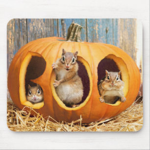 Chipmunks Inside Boo Jack-o-Lantern Mouse Pad