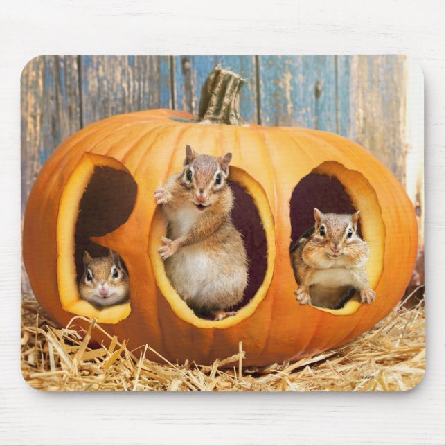 Chipmunks Inside Boo Jack-o-Lantern Mouse Pad (Front)