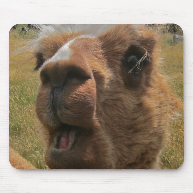 Chipper Alpaca Mouse Pad (Front)