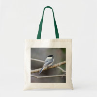 Chipper Chickadee
