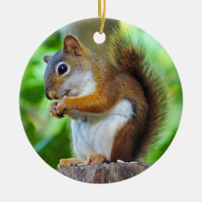 Chipper Red Squirrel Ceramic Ornament (Front)