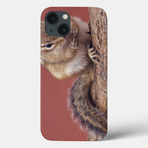 Chippie iPad Case