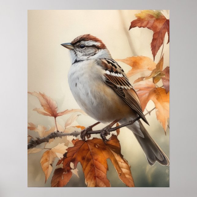 Chipping Sparrow Bird Art Print Poster (Front)