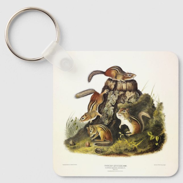 Chipping Squirrel ( Eastern Chipmunk ) by Audubon Key Ring (Front)