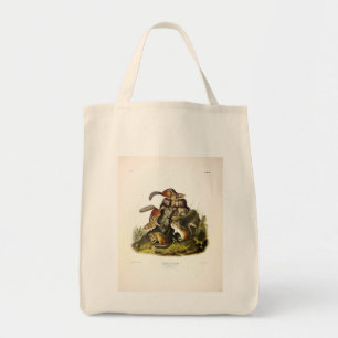 Chipping Squirrel ( Eastern Chipmunk ) by Audubon Tote Bag