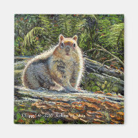 "Chippy" Magnet