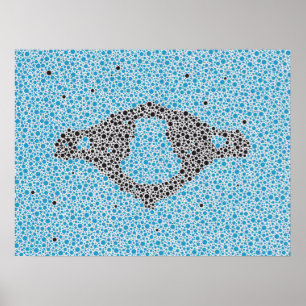 Chiropractic Anatomy Artwork Cervical Vertebrae Poster