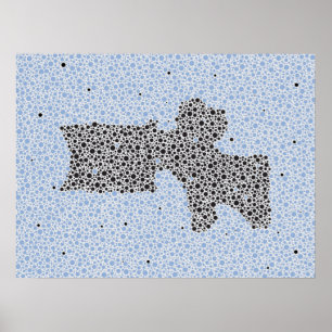 Chiropractic Anatomy Artwork Lumbar Vertebrae Poster