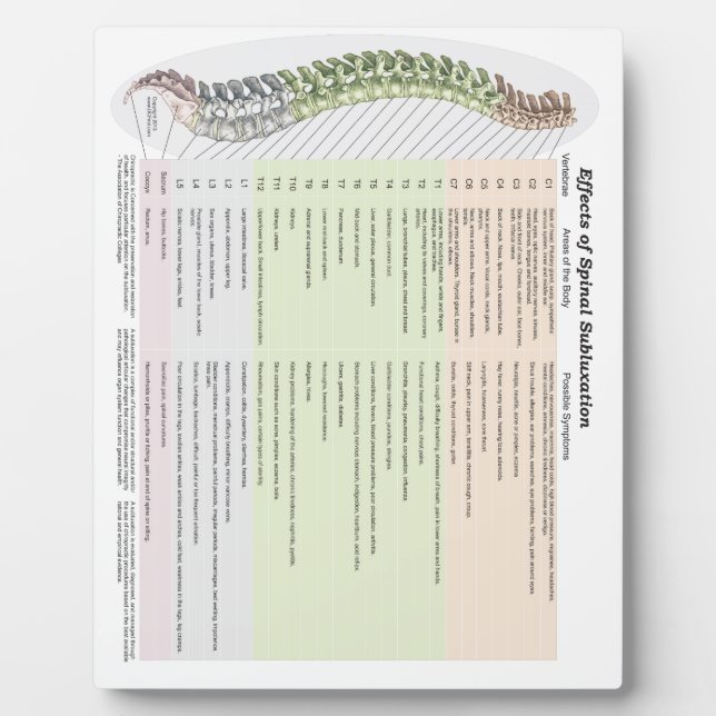 Chiropractic Effects of Spinal Subluxation Easel Plaque (Front)