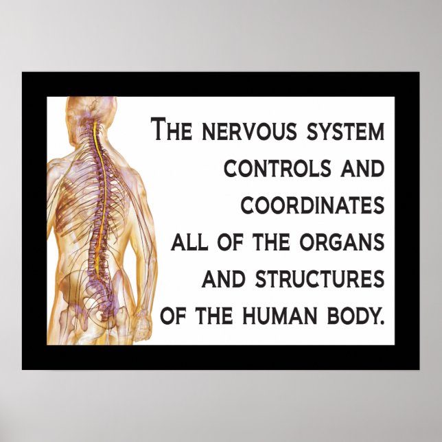 Chiropractic Nerves Quote Poster Customize (Front)