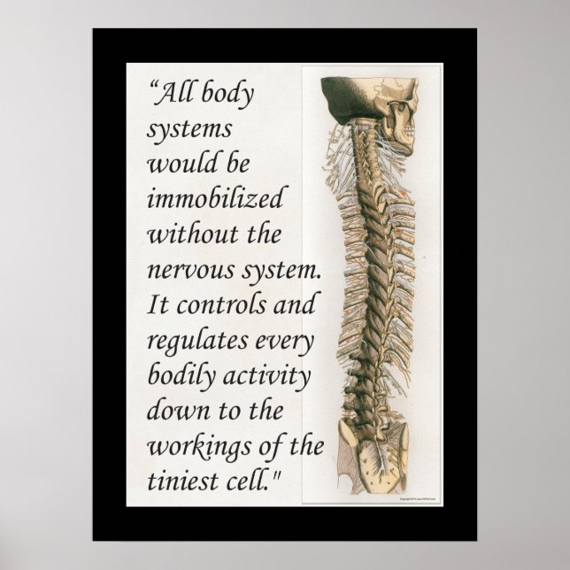 Chiropractic Quote Nervous System Poster Customise (Front)