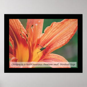 Chiropractic Quotes and Sayings Health Poster