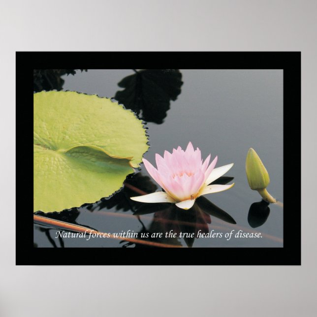 Chiropractic Quotes and Sayings Health Poster (Front)