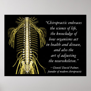 Chiropractic Quotes & Sayings DD Palmer Poster