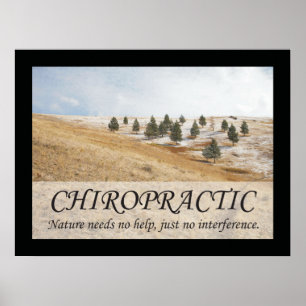 Chiropractic Quotes & Sayings Nature Poster