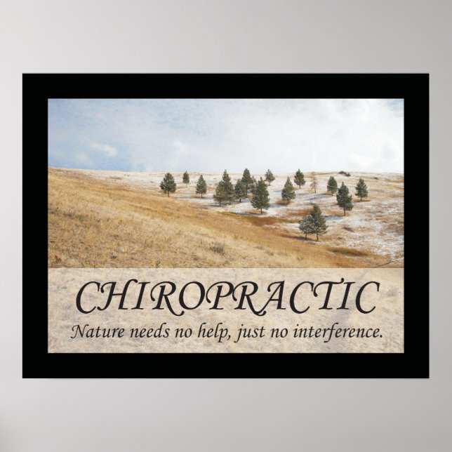 Chiropractic Quotes & Sayings Nature Poster (Front)