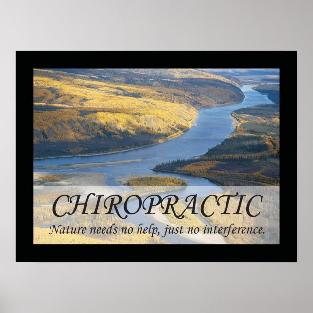 Chiropractic Quotes & Sayings Nature Poster (Front)