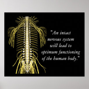 Chiropractic Quotes & Sayings Nerves Poster