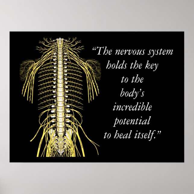 Chiropractic Quotes & Sayings Nervous System Poster (Front)