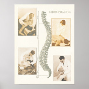 Chiropractic Spinal Adjustment Poster