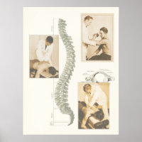 Chiropractic Spinal Adjustment Poster