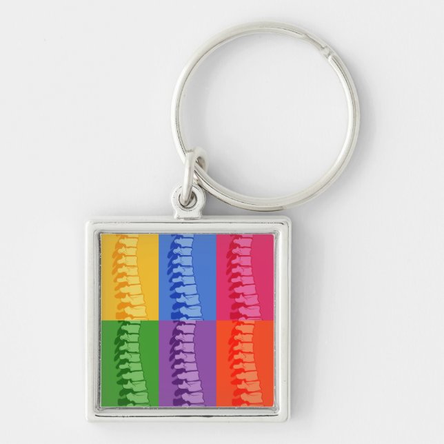 Chiropractic Spine Pop Art Key Ring Keychain (Front)
